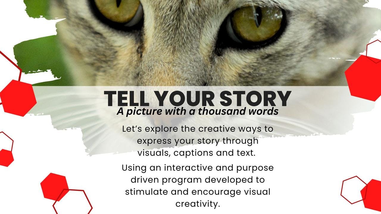 Tell Your Story: The art of visual communication